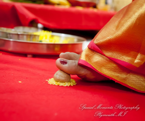 Laavanya & Varun at The Hindu Temple Canton MI wedding photography