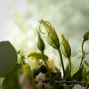 Laura & Chris at Wellers East Garden Saline MI wedding photography
