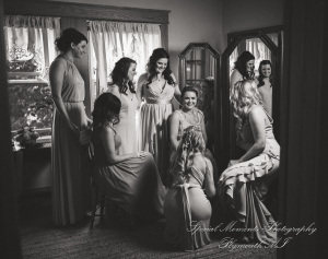 Lauren & Gabriel at Wellers Saline MI wedding photography