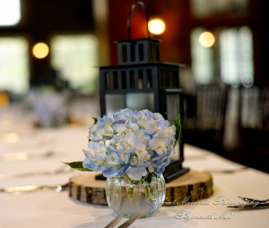 Lauren & Gabriel at Wellers Saline MI wedding photography