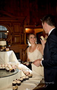 Lauren & Gabriel at Wellers Saline MI wedding photography
