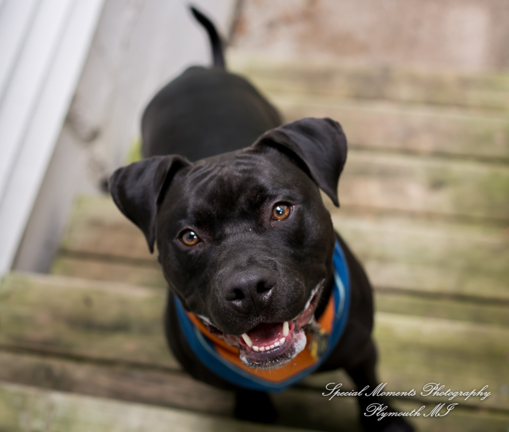 Brittany & Christian at Canterbury Castle Lake Orion M wedding photography