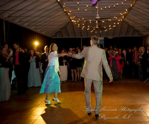 Lauren & Gabriel at Wellers Saline MI wedding photography