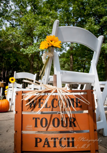 Tiffany & Scott at Camp Agawam Lake Orion MI wedding photography