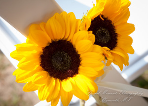 Tiffany & Scott at Camp Agawam Lake Orion MI wedding photography