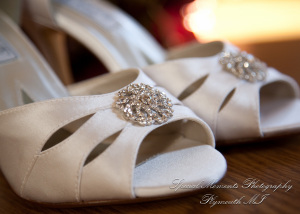 Christopher & Lisa at St. Ambrose Catholic Grosse Pointe Farms MI wedding photography