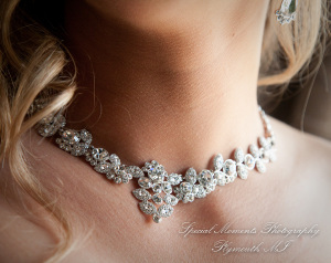 Heidi & Doug at Blossom Heath St. Clair Shores MI wedding photography