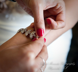 Heidi & Doug at Blossom Heath St. Clair Shores MI wedding photography