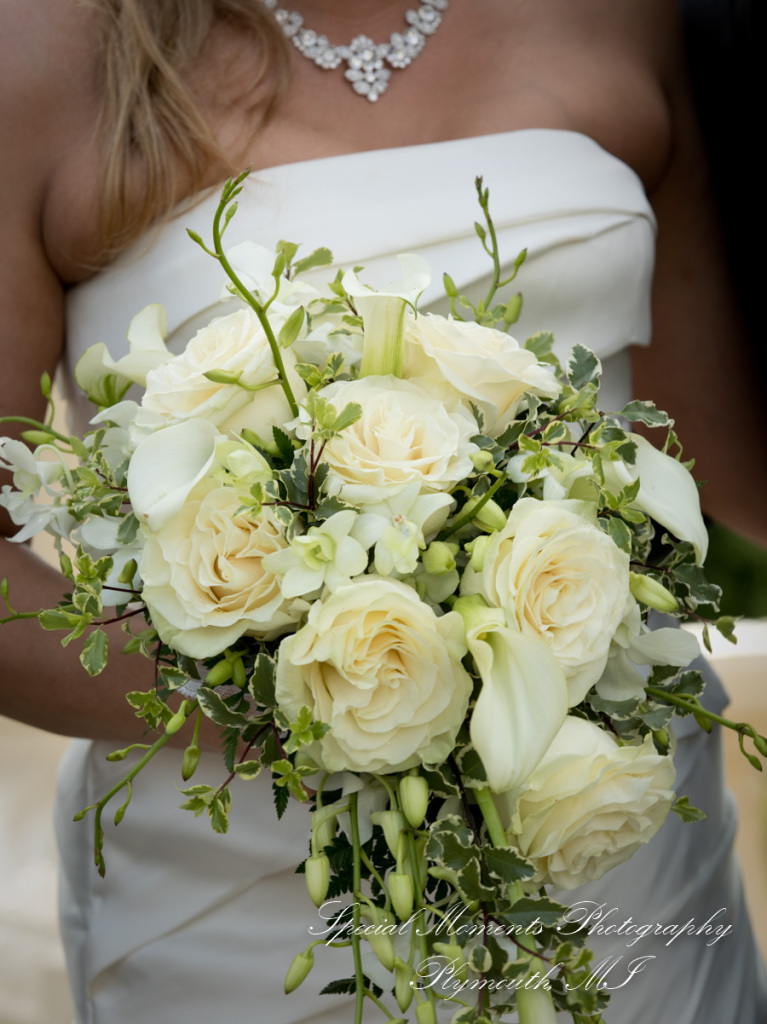 Heidi & Doug at Blossom Heath St. Clair Shores MI wedding photography