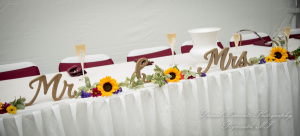 Tiffany & Scott at Camp Agawam Lake Orion MI wedding photography