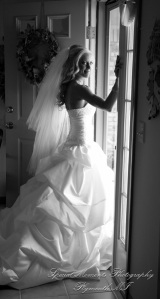 Christopher & Lisa at St. Ambrose Catholic Grosse Pointe Farms MI wedding photography