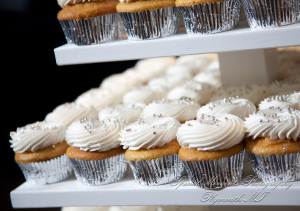 Christopher & Lisa at Roostertail Detroit MI wedding photograph