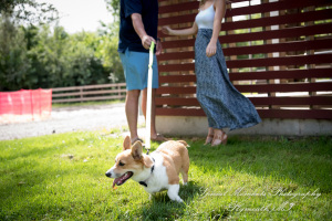 Lindsey & Mike at Kensington Park Milford MI engagement photography