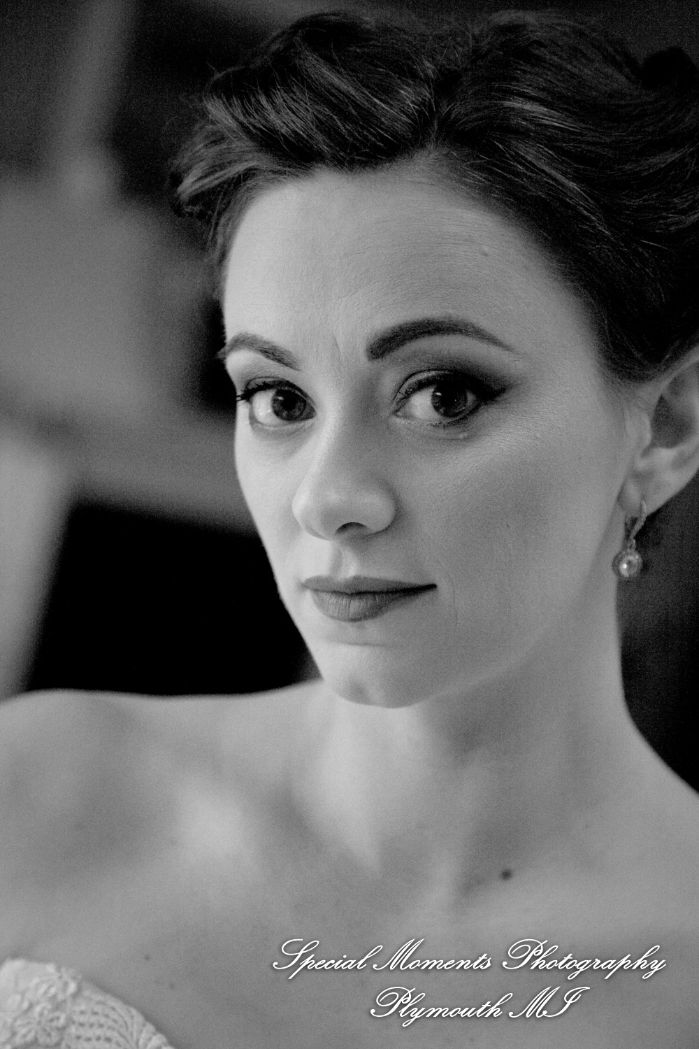 Deanna Sue at Lellis Inn Auburn Hills MI wedding photography