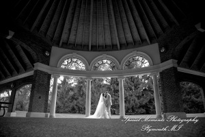 Deanna Sue at Lellis Inn Auburn Hills MI wedding photography