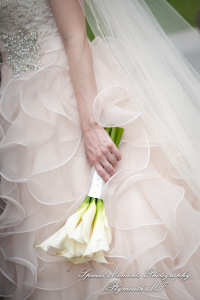 Deanna Sue at Lellis Inn Auburn Hills MI wedding photography