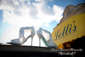 Deanna Sue at Lellis Inn Auburn Hills MI wedding photography