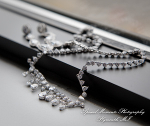 Angenette & Leroy at MSU Horticulture Garden East Lansing MI wedding photography