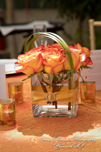 Angenette & Leroy at MSU Horticulture Garden East Lansing MI wedding photography