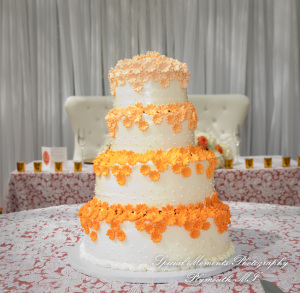 Angenette & Leroy at MSU Horticulture Garden East Lansing MI wedding photography