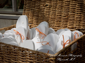 Angenette & Leroy at MSU Horticulture Garden East Lansing MI wedding photography