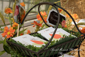 Angenette & Leroy at MSU Horticulture Garden East Lansing MI wedding photography