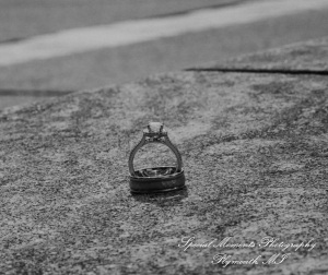 Angenette & Leroy at MSU Horticulture Garden East Lansing MI wedding photography