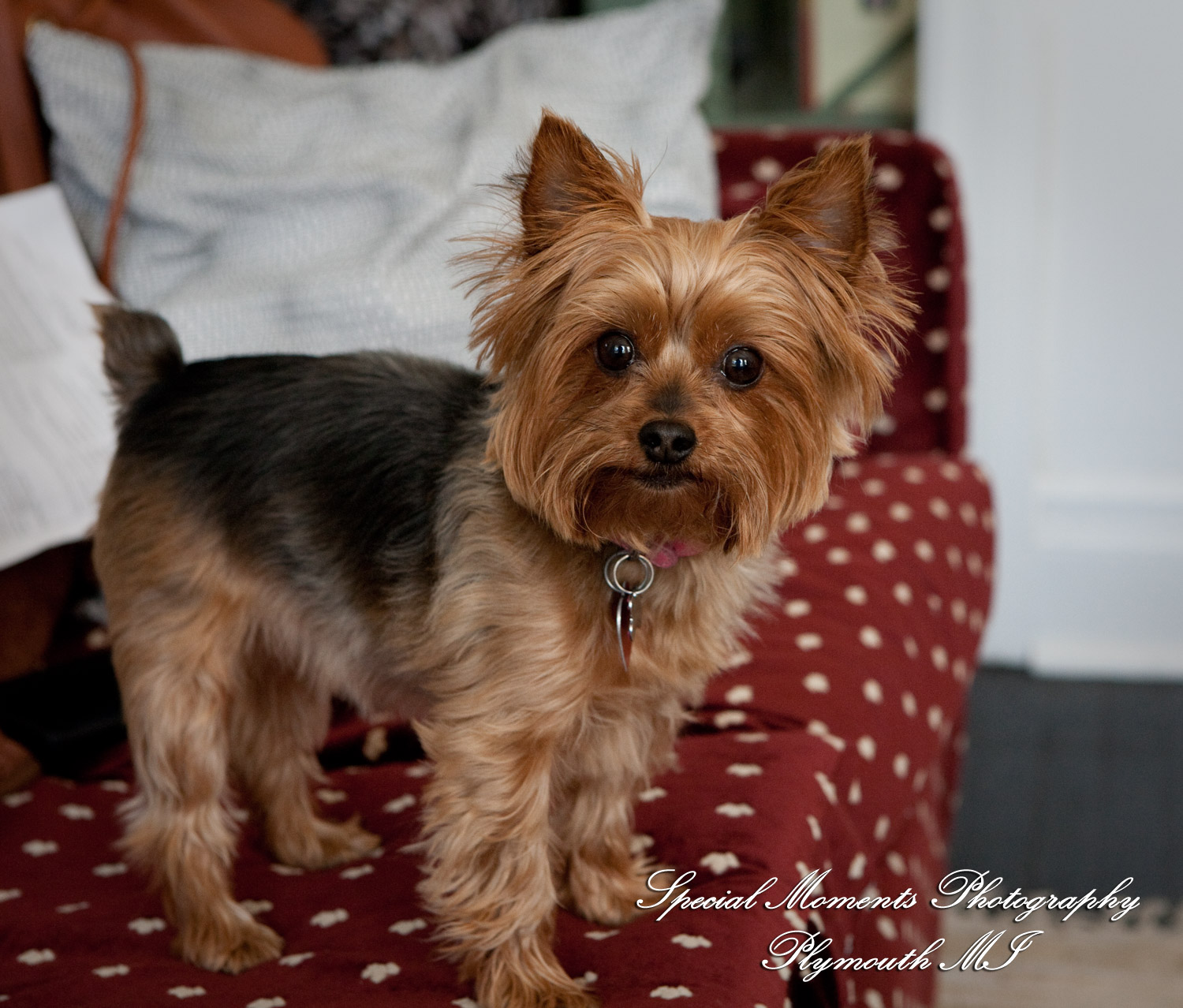 Rebecka & Clinton at a Bed & Breakfast Detroit MI wedding photograph