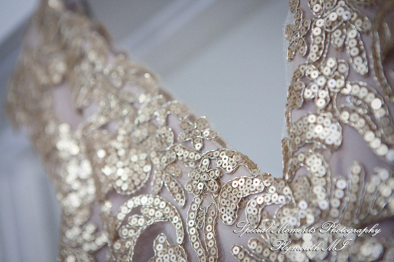 Rebecka & Clinton at a Bed & Breakfast Detroit MI wedding photograph