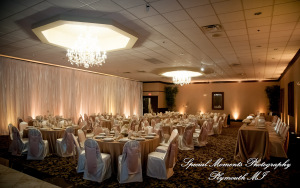 Stephanie & Tristan at Crystal Gardens Howell MI wedding photography