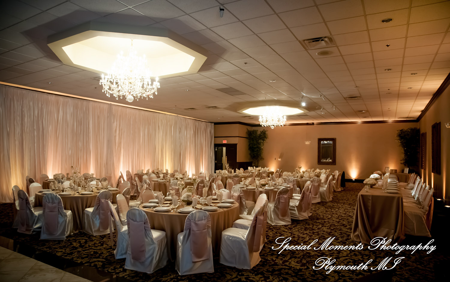 Stephanie & Tristan at Crystal Gardens Howell MI wedding photography