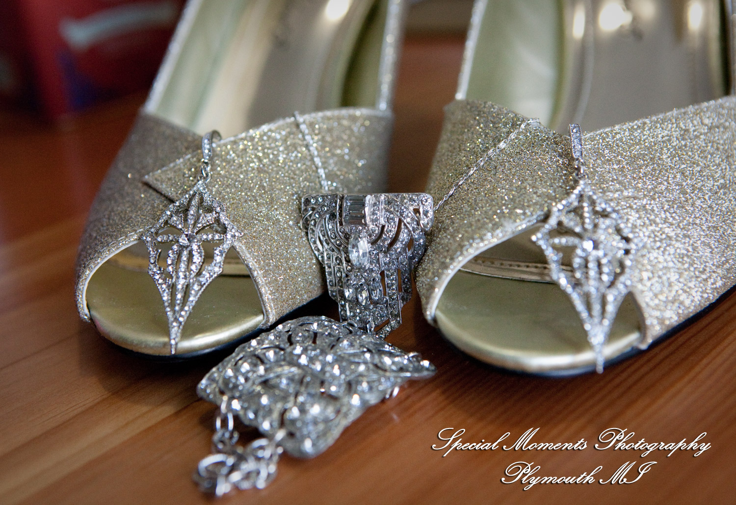 Rebecka & Clinton at a Bed & Breakfast Detroit MI wedding photograph