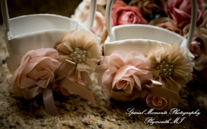 Stephanie & Tristan at Crystal Gardens Howell MI wedding photography