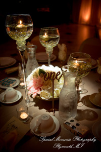 Stephanie & Tristan at Crystal Gardens Howell MI wedding photography