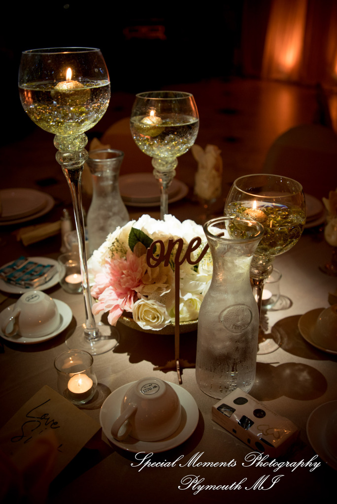 Stephanie & Tristan at Crystal Gardens Howell MI wedding photography