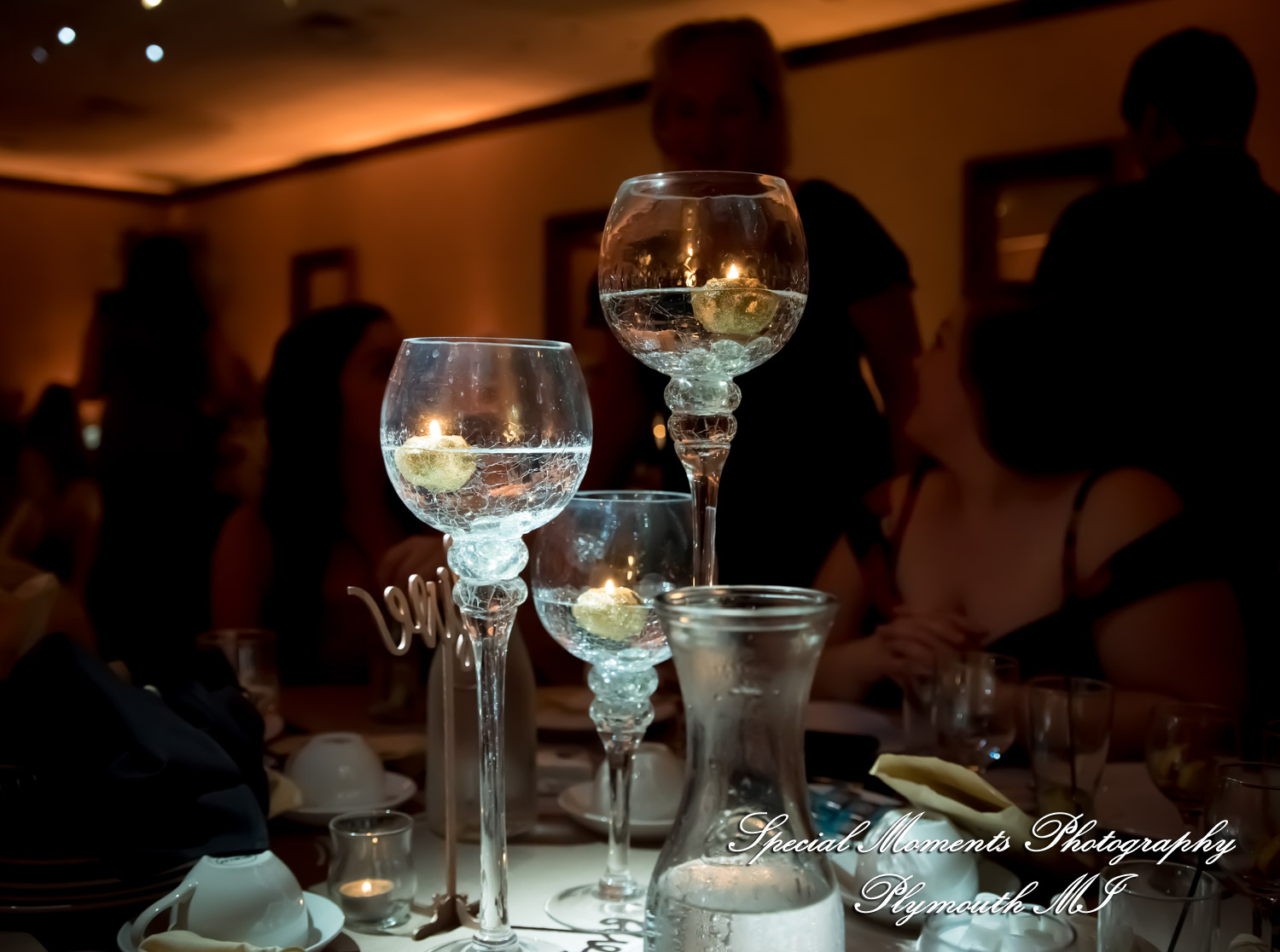 Stephanie & Tristan at Crystal Gardens Howell MI wedding photography