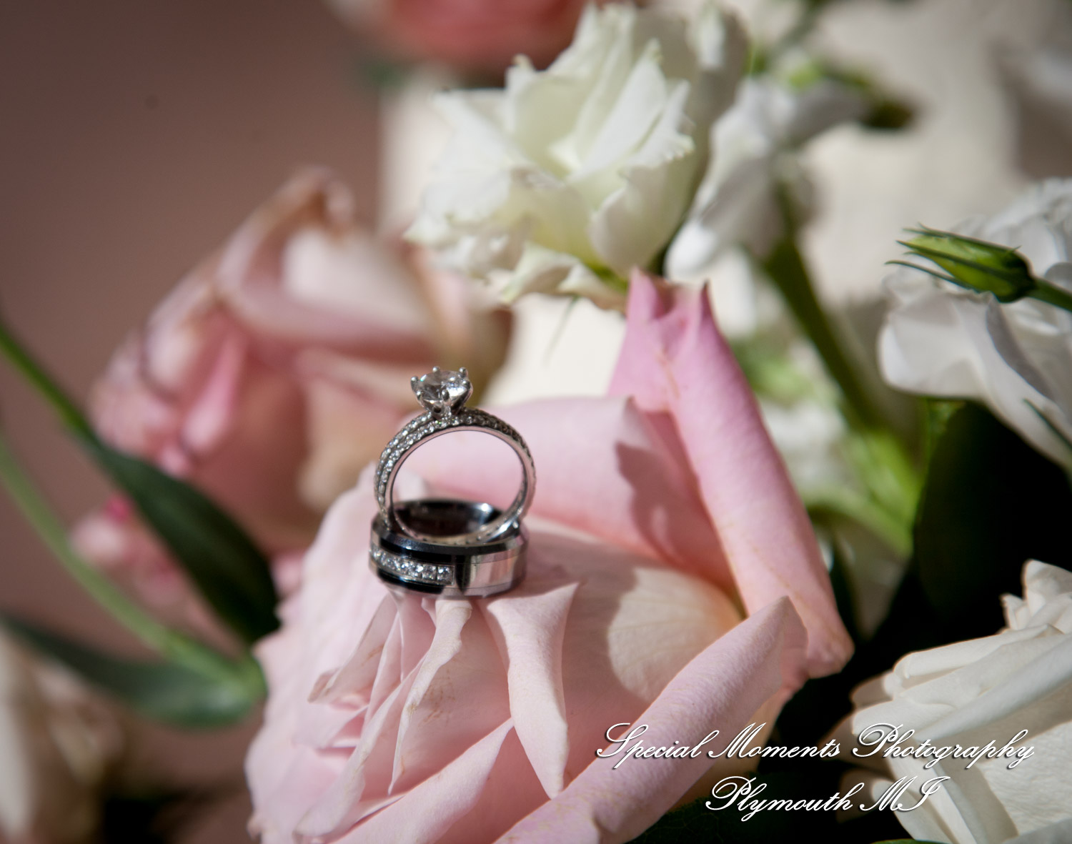 Stephanie & Tristan at Crystal Gardens Howell MI wedding photography