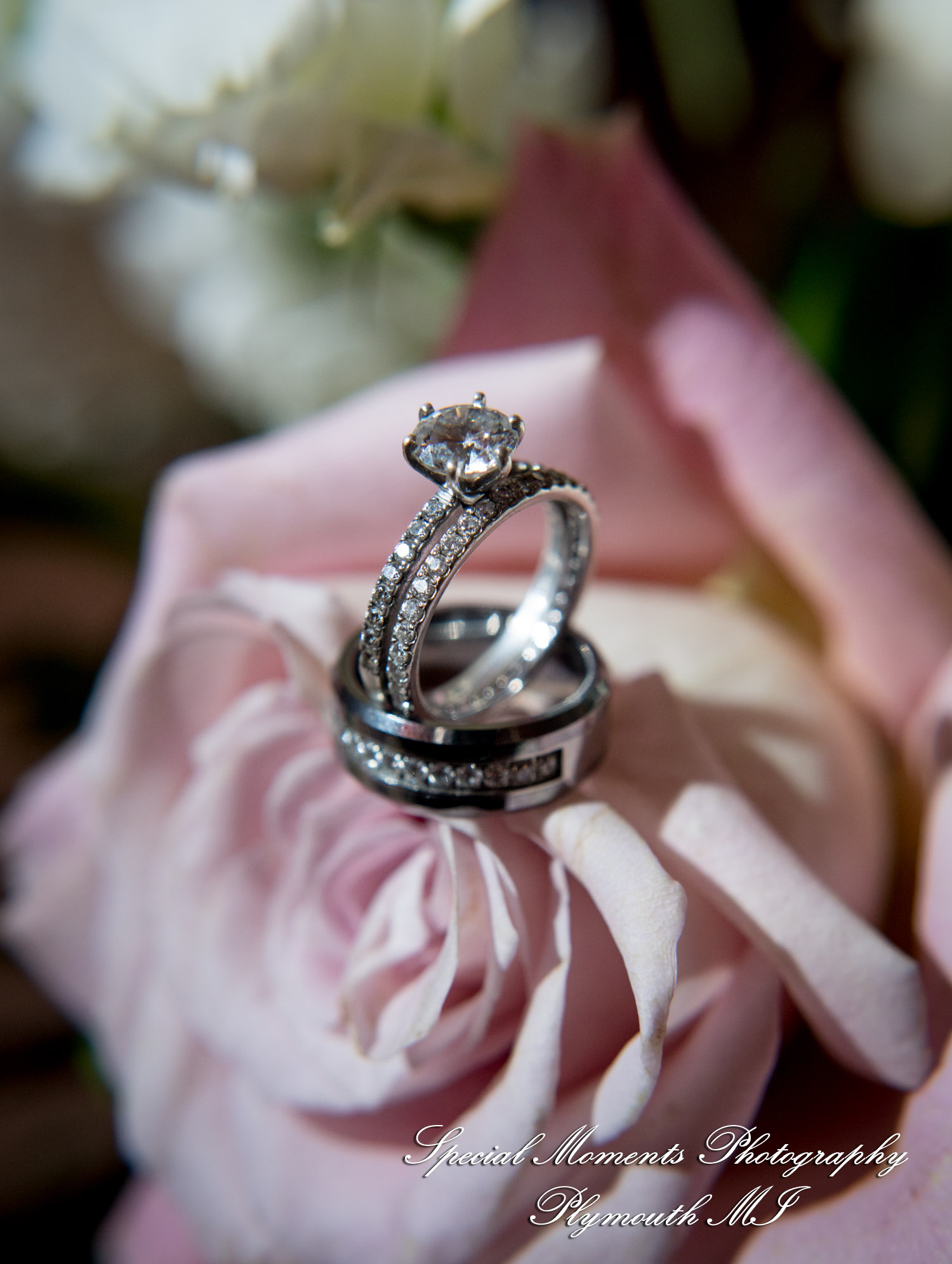 Stephanie & Tristan at Crystal Gardens Howell MI wedding photography