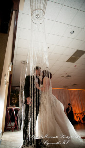 Stephanie & Tristan at Crystal Gardens Howell MI wedding photography