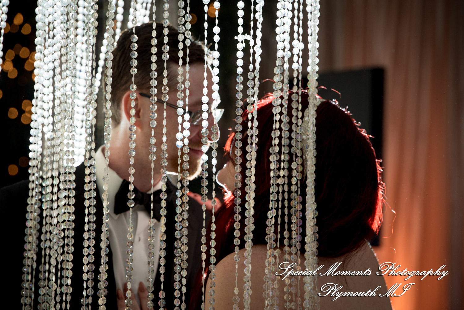 Stephanie & Tristan at Crystal Gardens Howell MI wedding photography