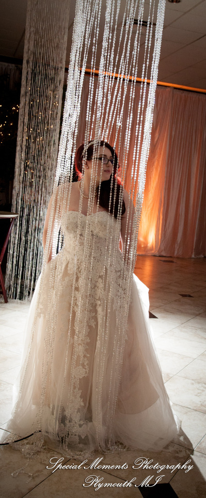 Stephanie & Tristan at Crystal Gardens Howell MI wedding photography