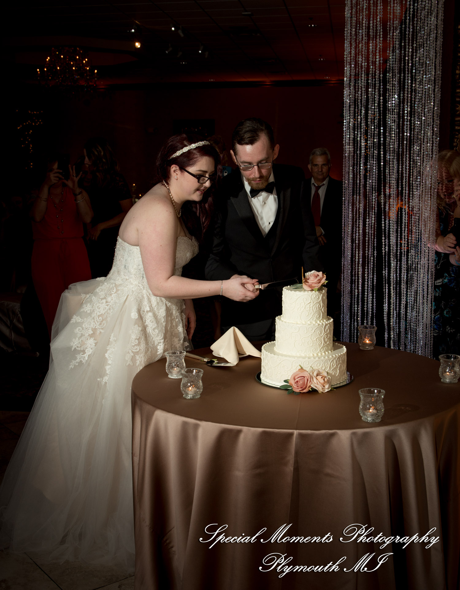 Stephanie & Tristan at Crystal Gardens Howell MI wedding photography