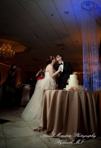 Stephanie & Tristan at Crystal Gardens Howell MI wedding photography