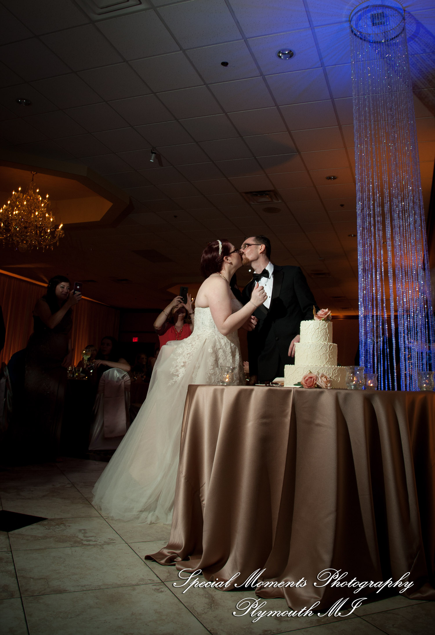 Stephanie & Tristan at Crystal Gardens Howell MI wedding photography