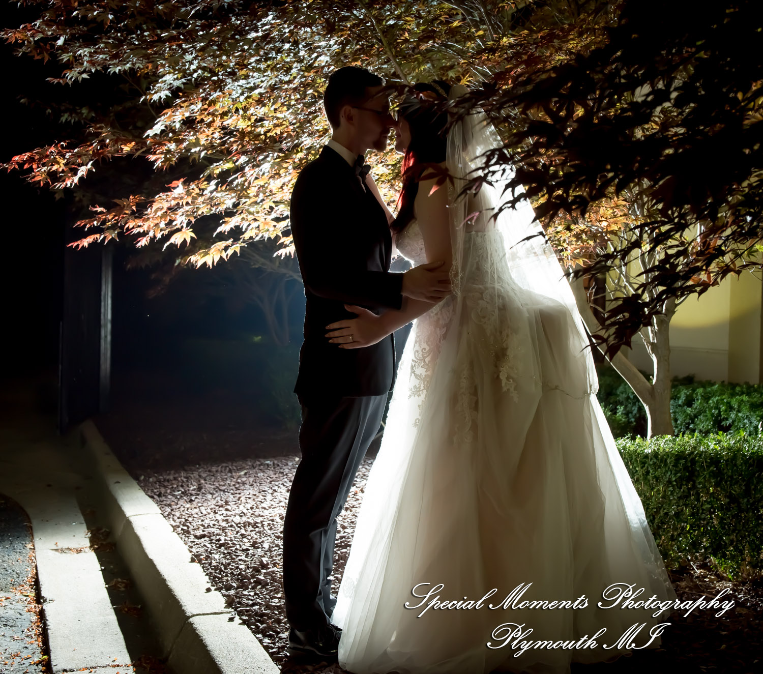 Stephanie & Tristan at Crystal Gardens Howell MI wedding photography