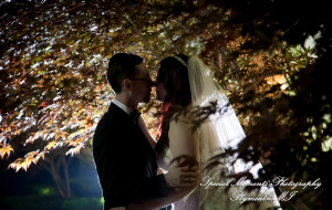 Stephanie & Tristan at Crystal Gardens Howell MI wedding photography