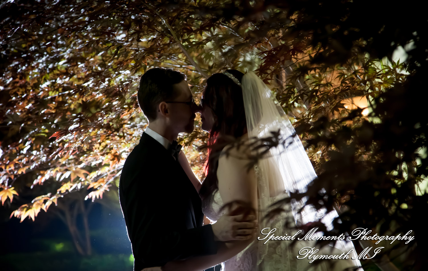 Stephanie & Tristan at Crystal Gardens Howell MI wedding photography