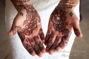 Alisha & Jacob at Plymouth Township Park Plymouth MI wedding photography