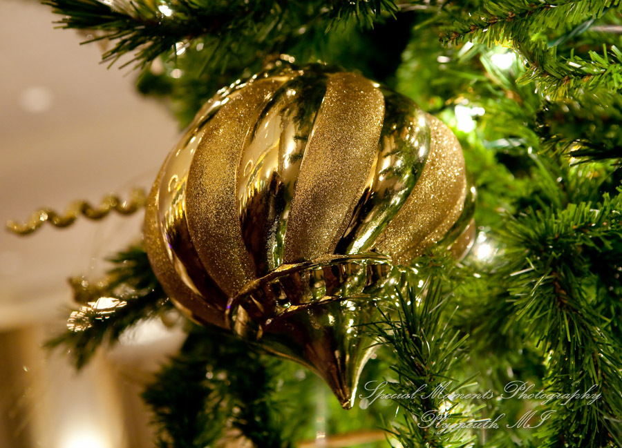 Margaret & Jason at St. John's Resort Grande Ballroom Plymouth M wedding photography