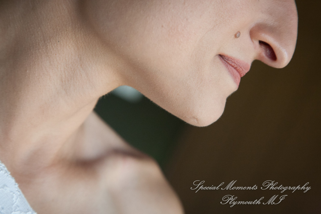 Alisha & Jacob at Plymouth Township Park Plymouth MI wedding photography